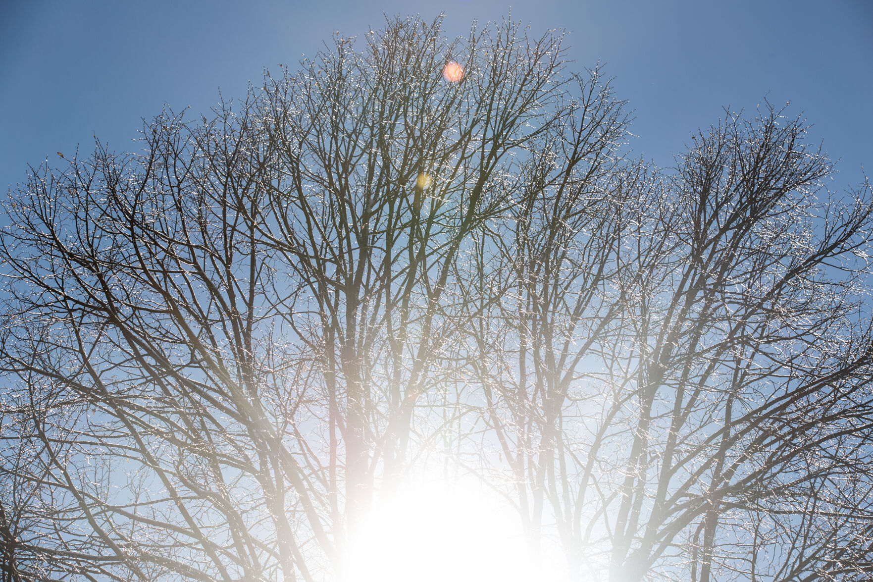 011622-owh-new-snow-LS006.JPG